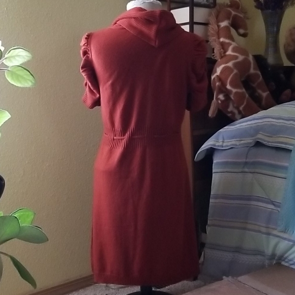Rust colored dress - Picture 2 of 3